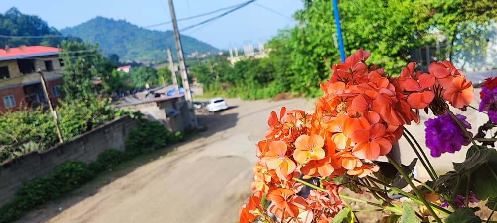 اقامتگاه بومگردی در صفرعلی محله حویق - 2