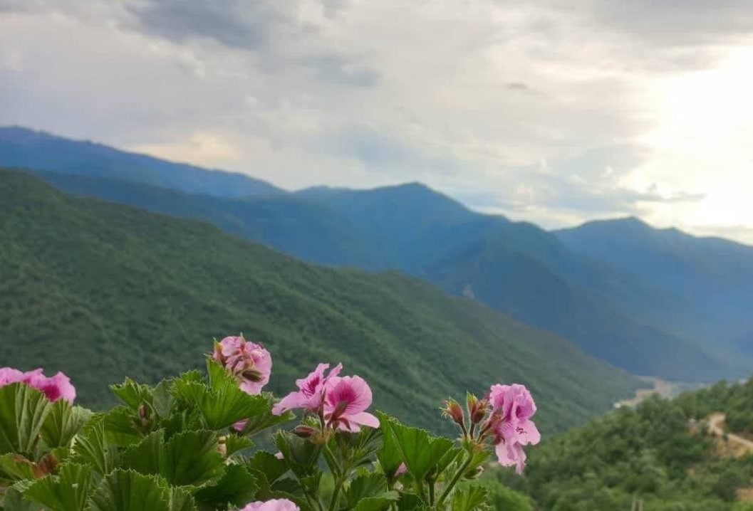 اجاره ویلا یک خوابه در خاک پیرزن علی آبادکتول - طبقه اول