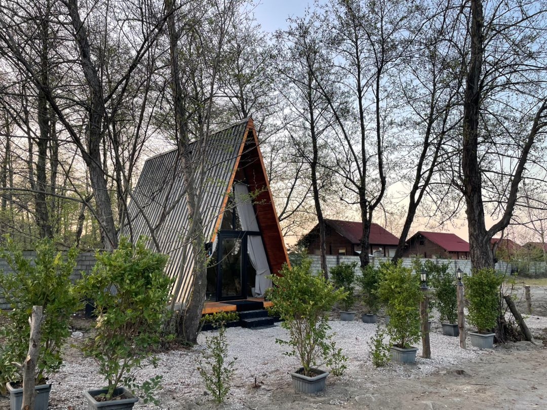 اجاره کلبه سوئیسی در سفید تمشک رامسر - نزدیک به جنگل