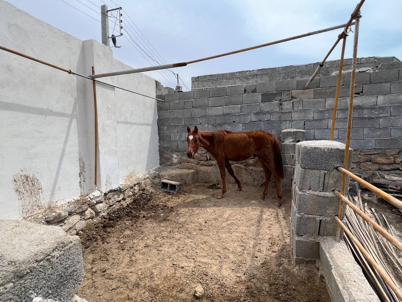 اجاره اتاق بومگردی ساحلی در دلوار - اتاق 2