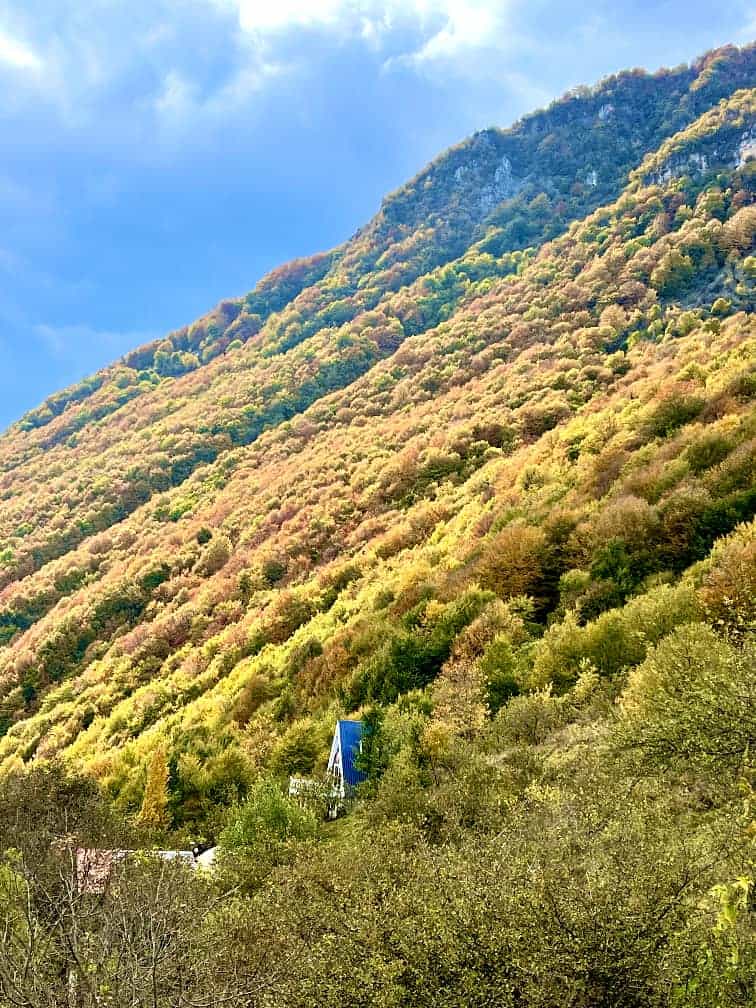 اجاره کلبه سوئیسی جنگلی در جاده دو هزار