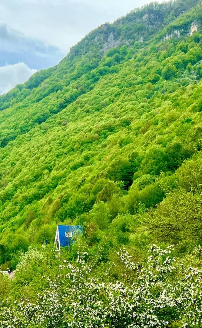 اجاره کلبه سوئیسی جنگلی در جاده دو هزار