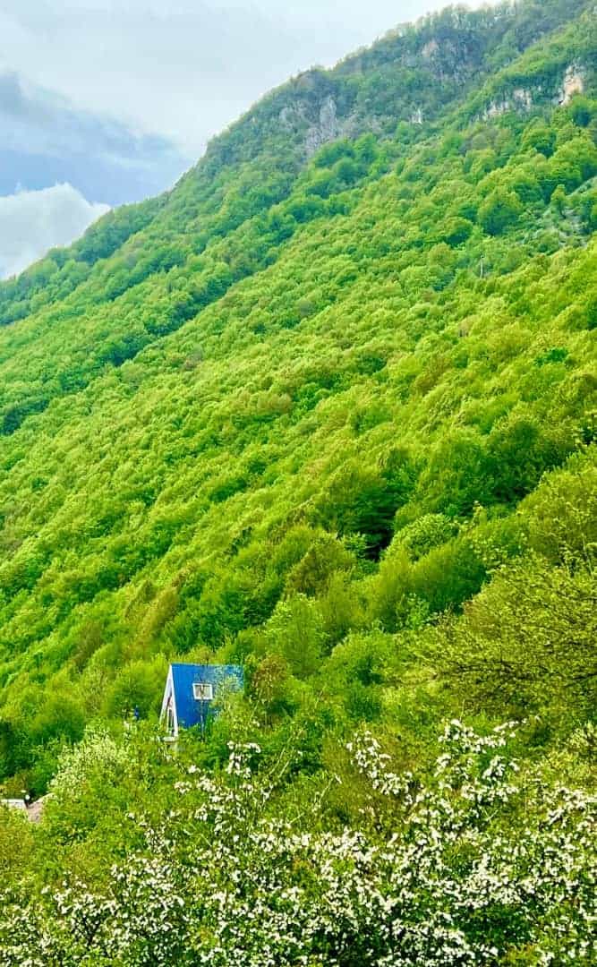 اجاره کلبه سوئیسی جنگلی در جاده دو هزار