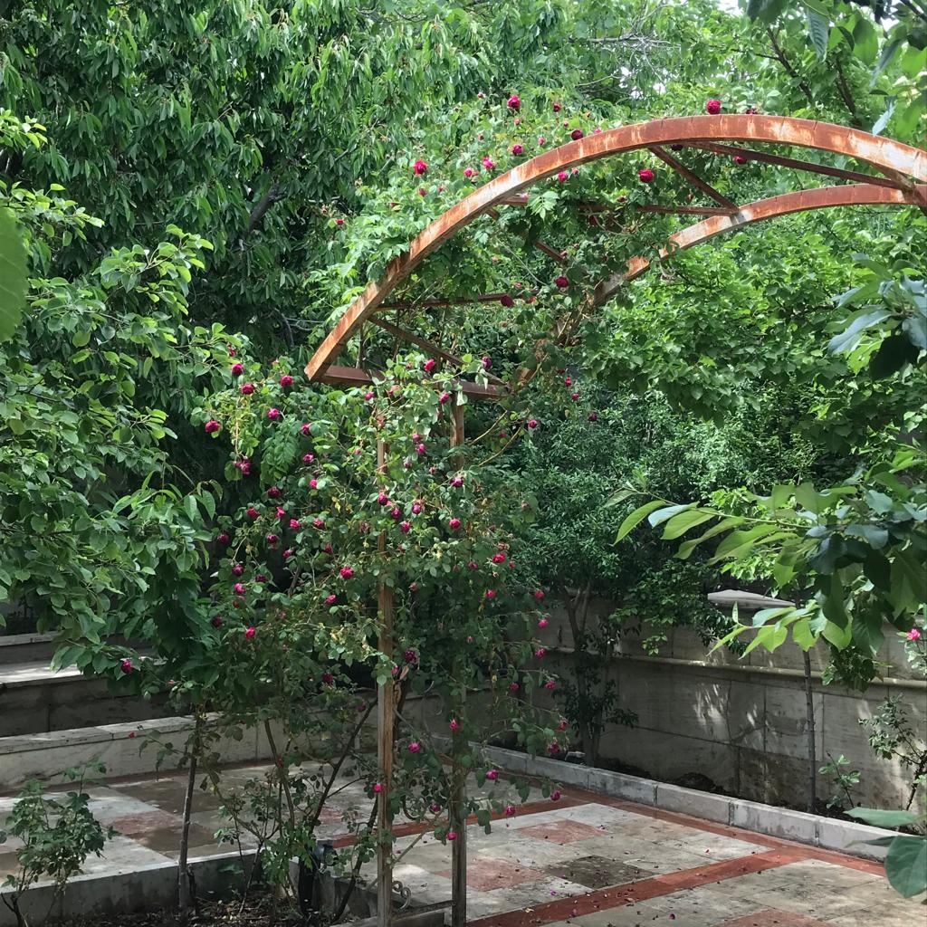 اجاره ویلا استخر سرپوشیده آبگرم در رودهن - شقایق