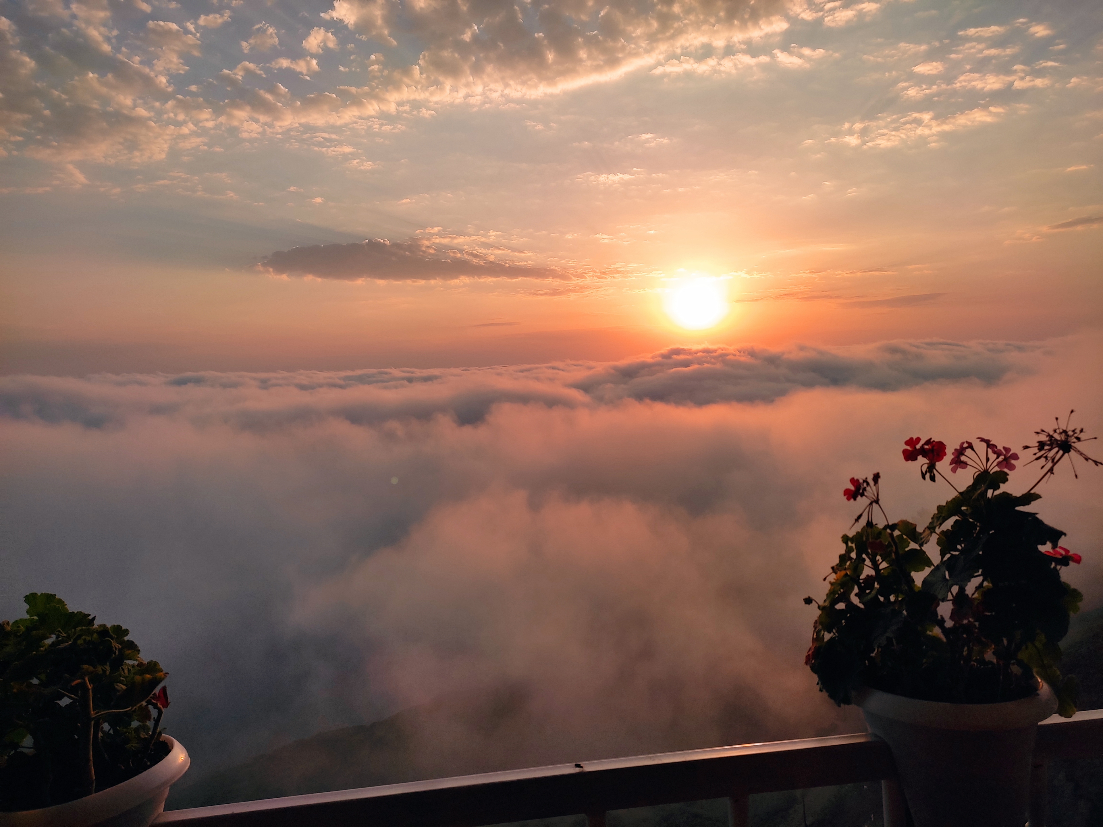 اجاره ویلا کوهستانی در فیلبند با ویوو جنگل ابر