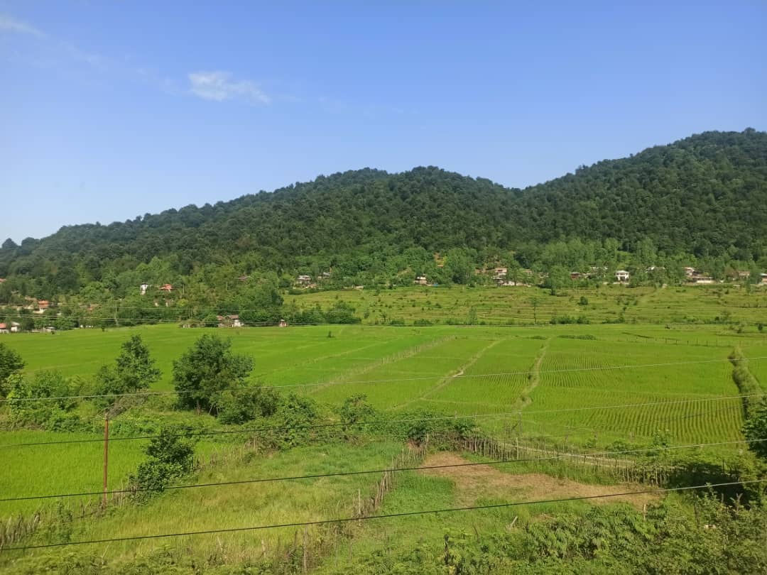 اجاره کلبه چوبی دوبلکس در ماسال