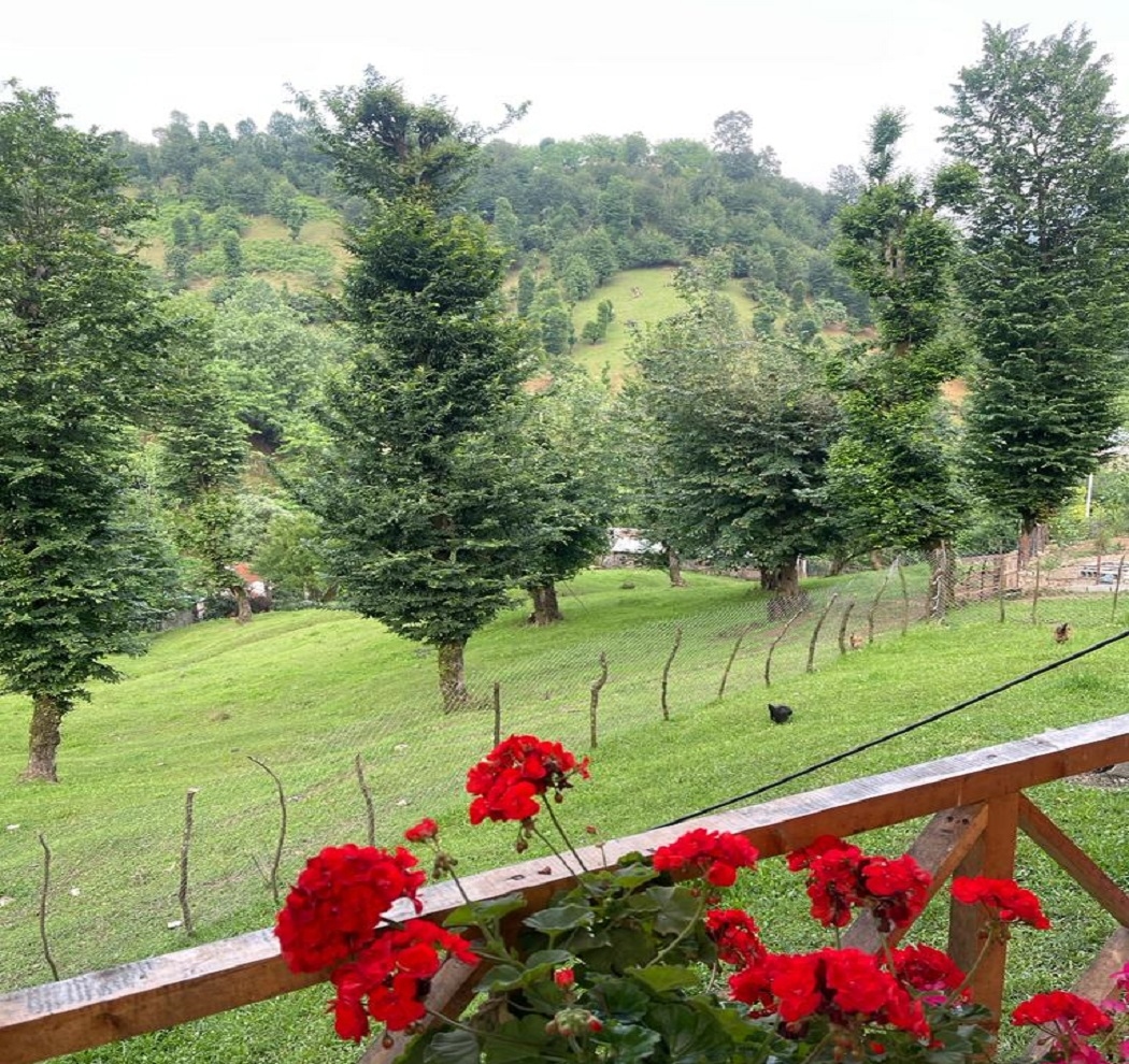 اجاره کلبه چوبی در روستای طبق سر ماسال