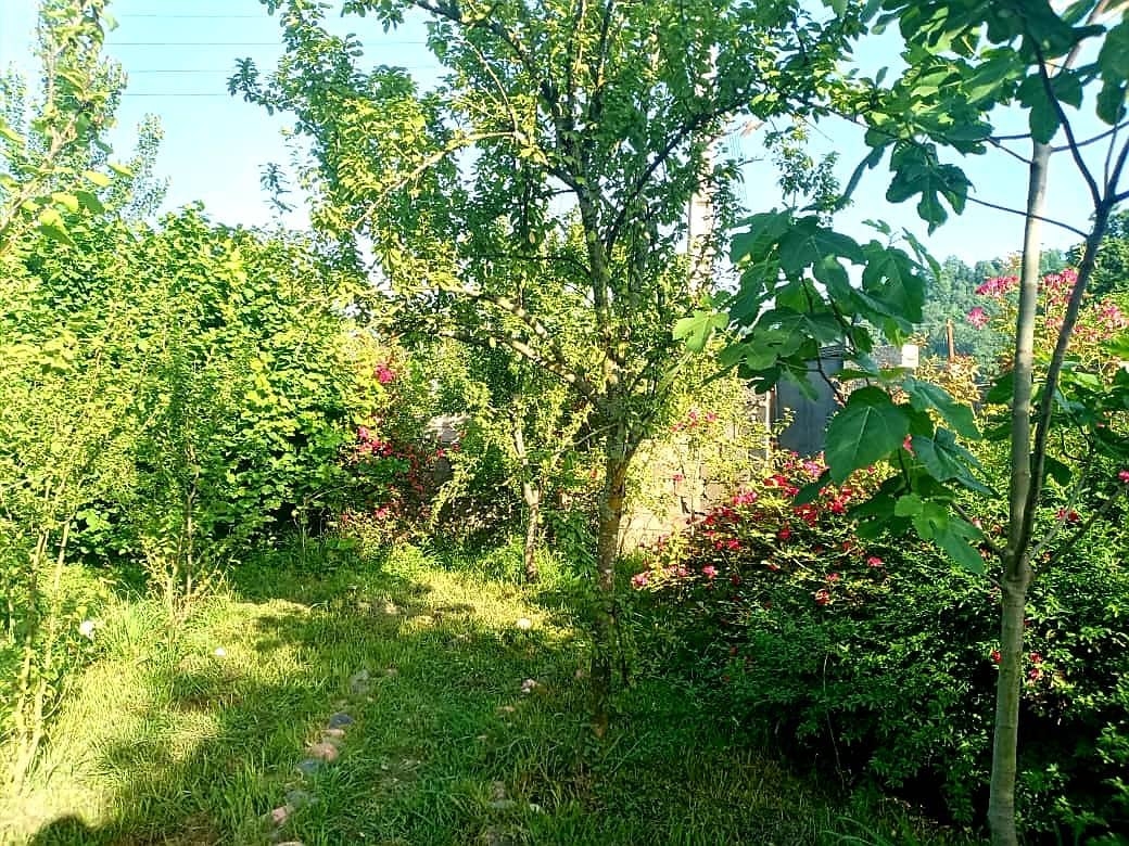 اجاره ویلا جنگلی در خرجگیل اسالم-دوخوابه طبقه اول