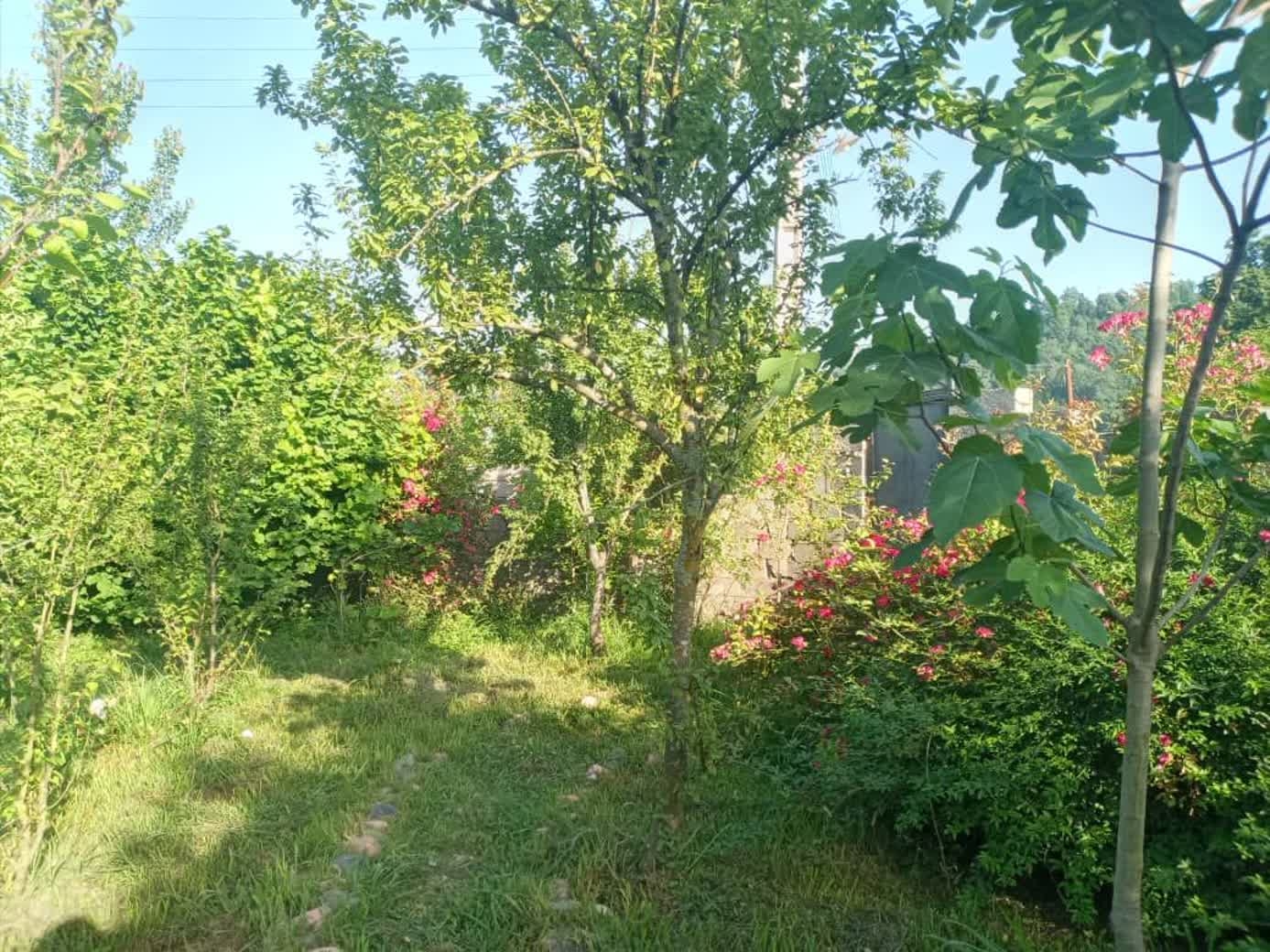 اجاره ویلا جنگلی در خرجگیل اسالم-دوخوابه طبقه اول