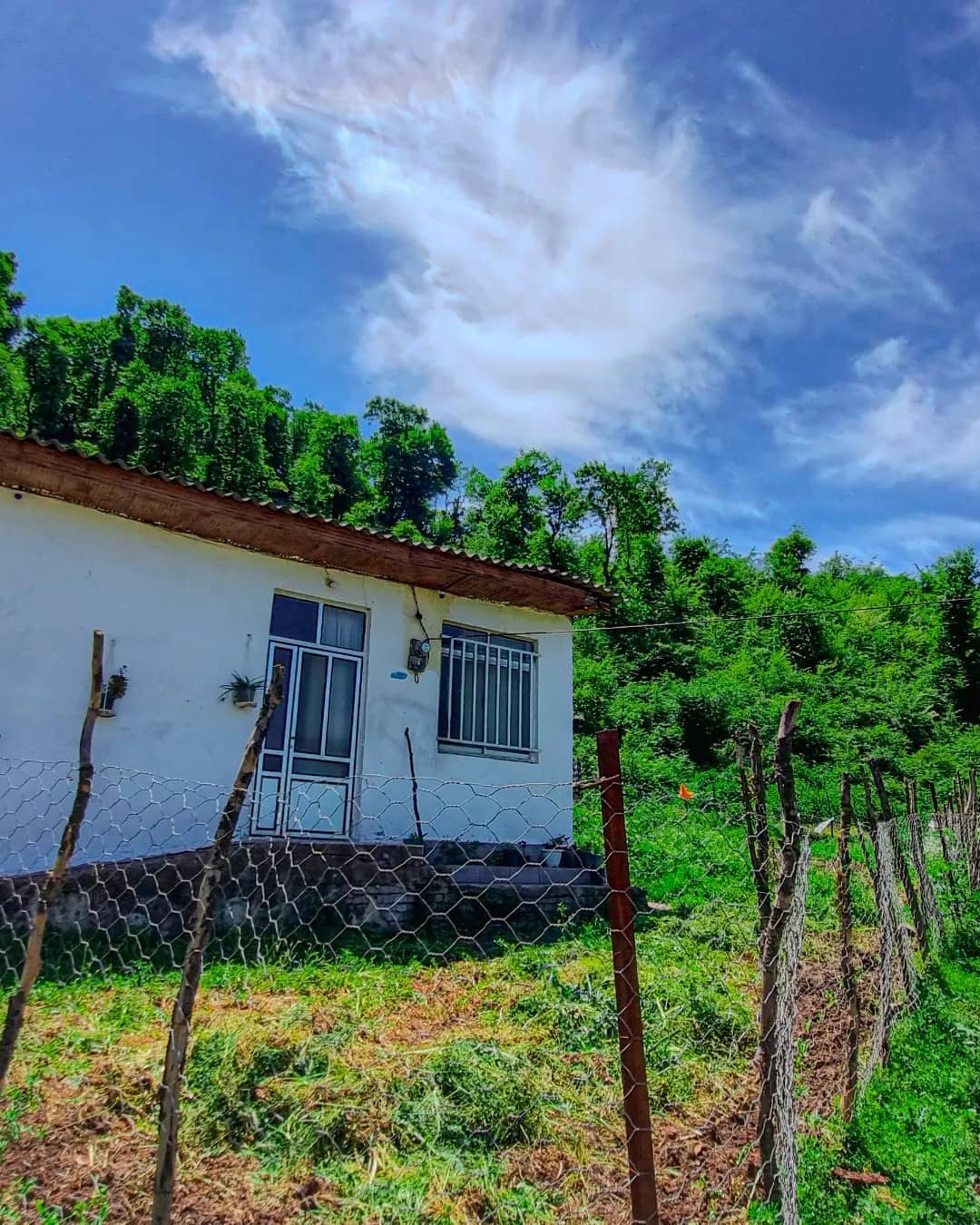 اجاره اقامتگاه جنگلی در روستای حاجیده - علاءالدین