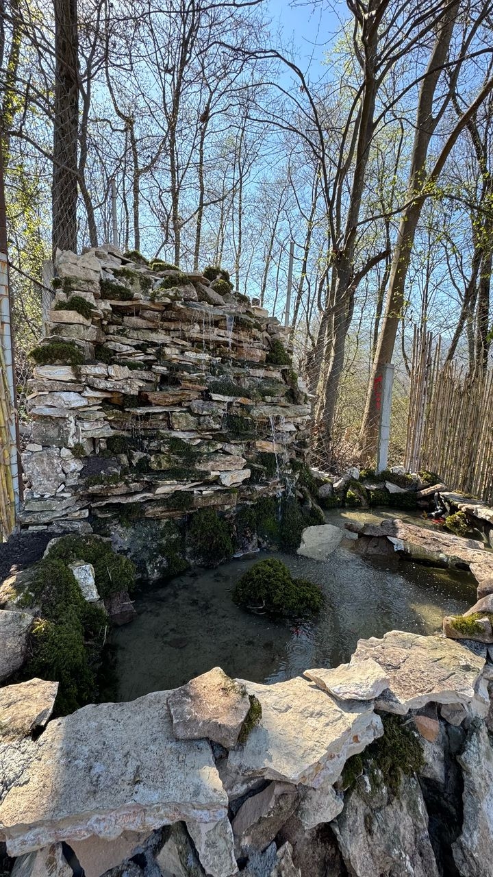 اجاره کلبه جنگلی با استخر در خلیل شهر