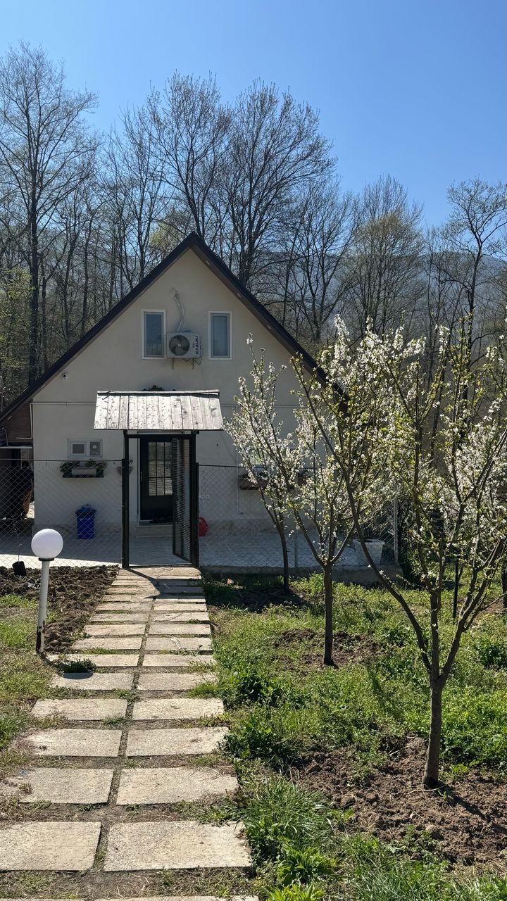 اجاره کلبه جنگلی با استخر در خلیل شهر