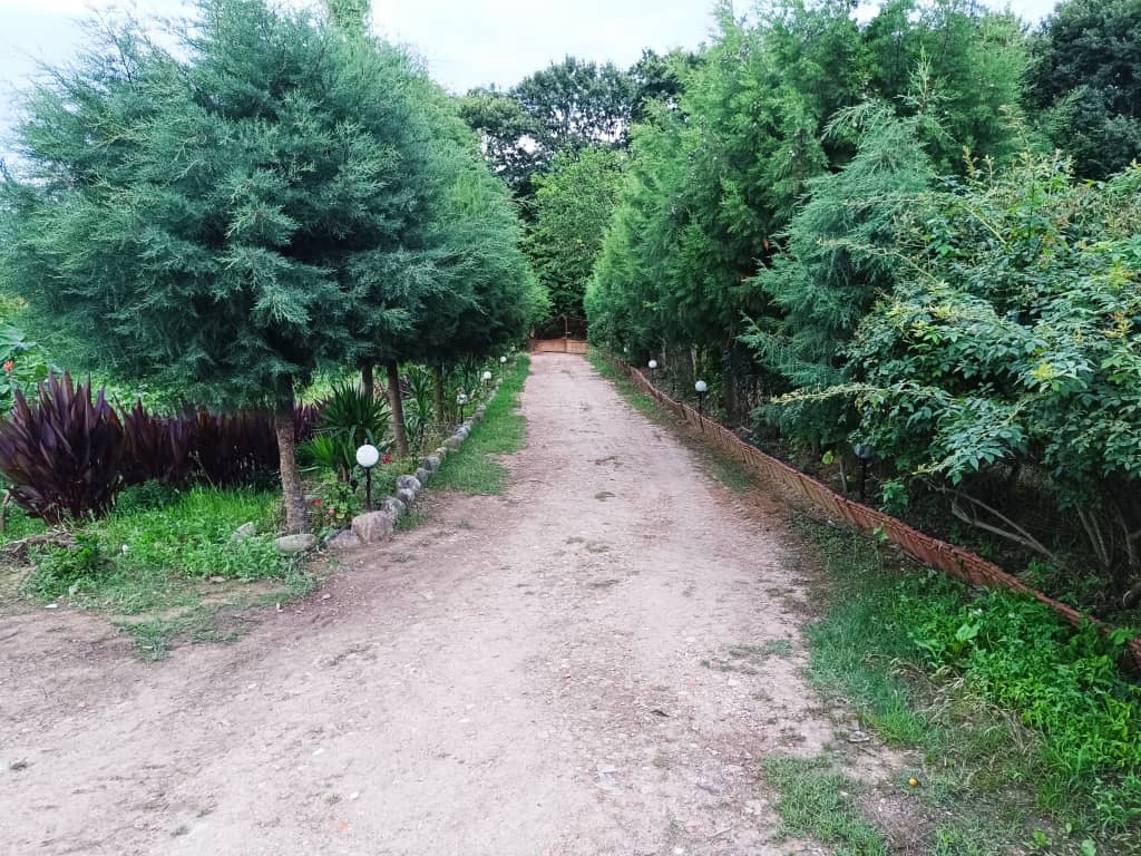 اقامتگاه بومگردی جنگلی در روستای ولمازو