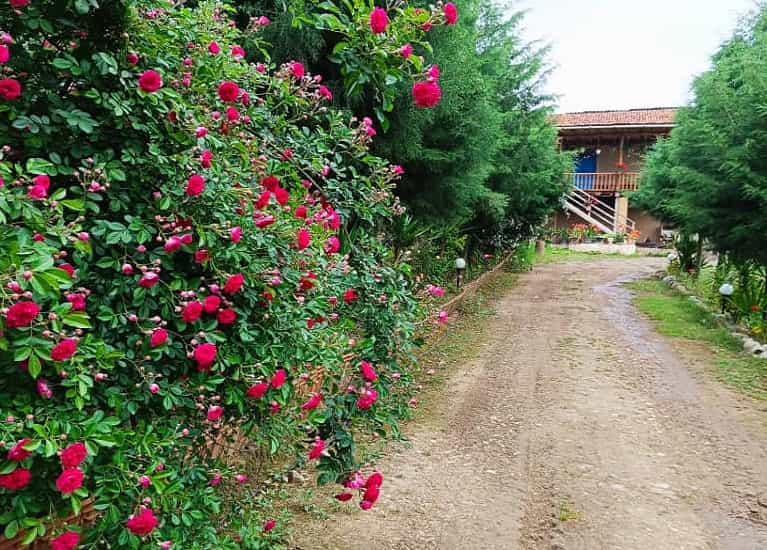 اقامتگاه بومگردی جنگلی در روستای ولمازو