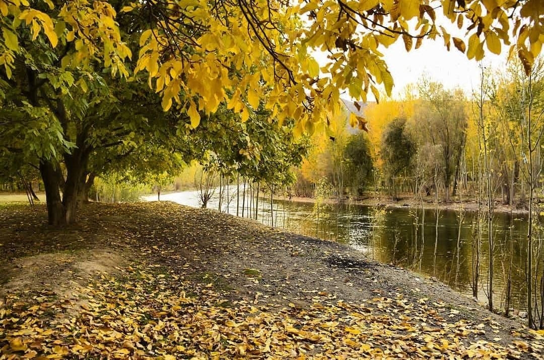 اجاره ویلا لب اب در روستای حجت آباد-واحد 3