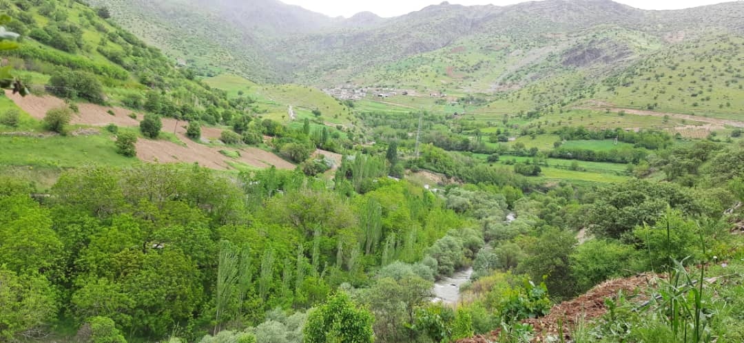 اجاره ویلا باغ کوهستانی در نگل مریوان