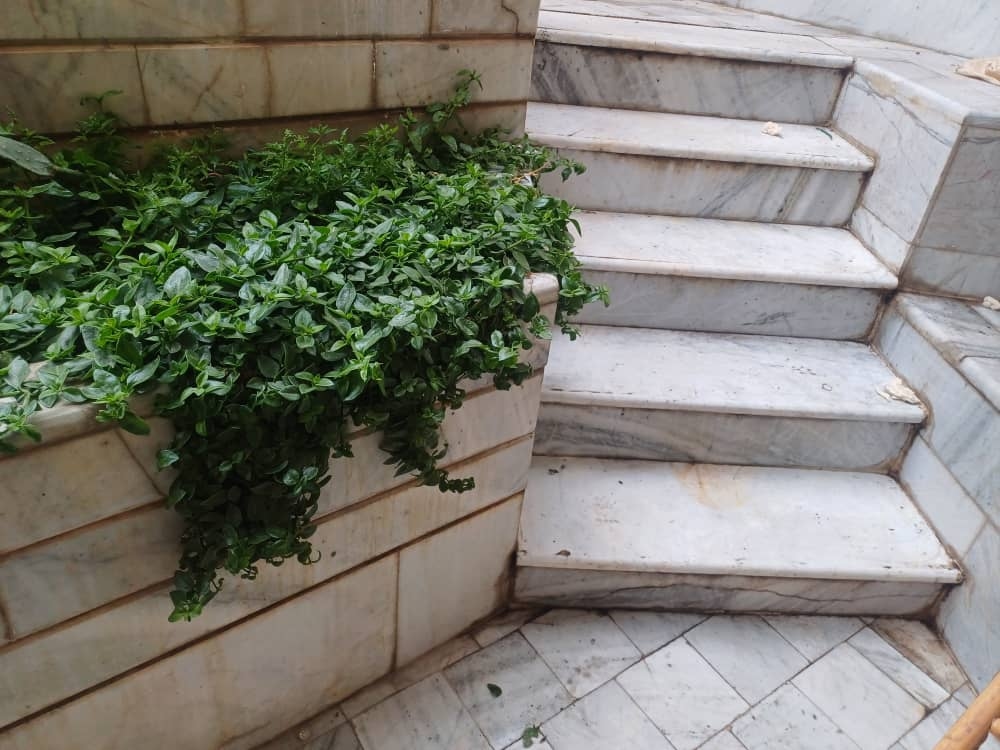 اجاره سوئیت در کمال الملک کاشان