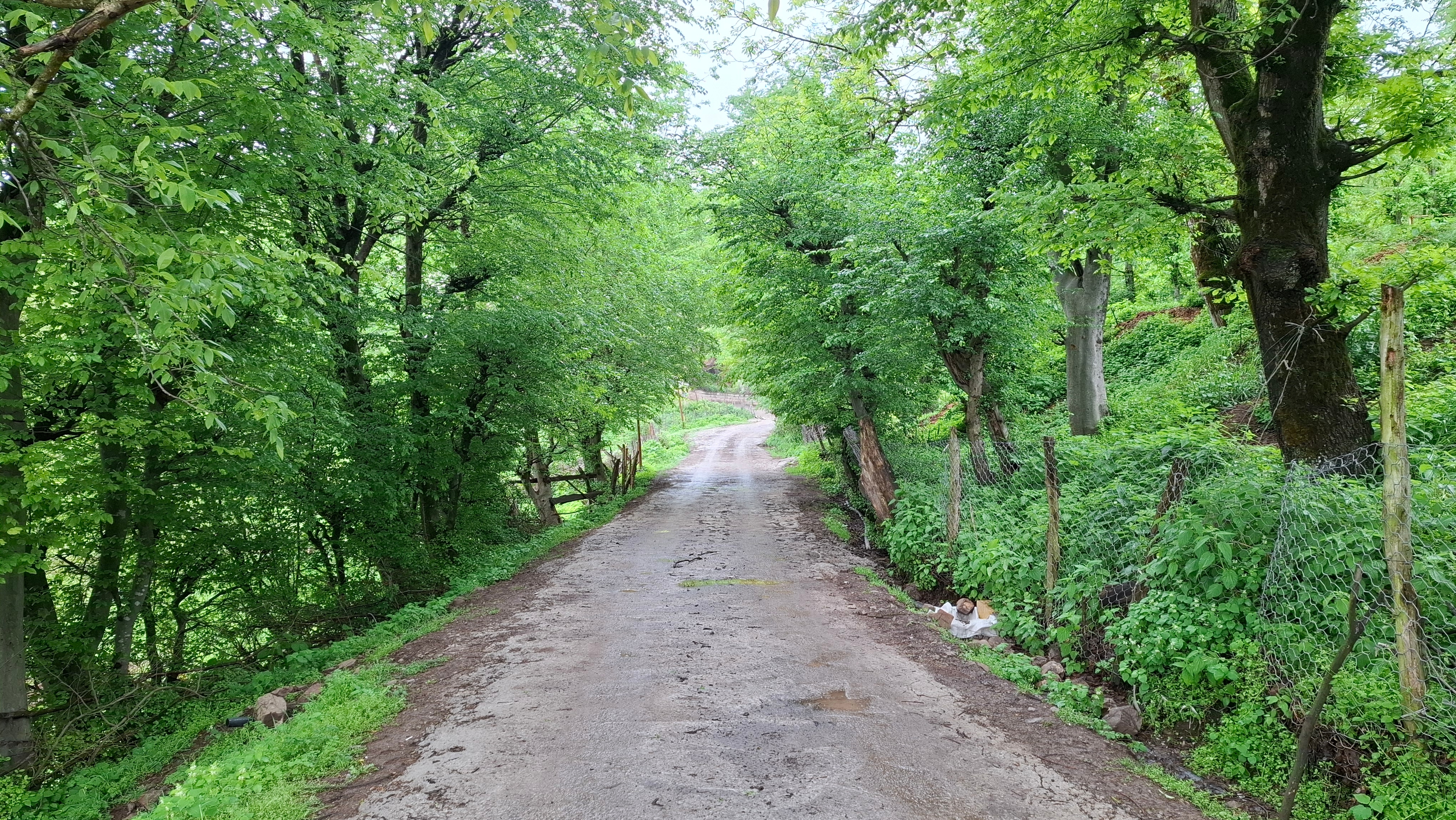اجاره اقامتگاه بومگردی در روستای حاجی ده توتکابن