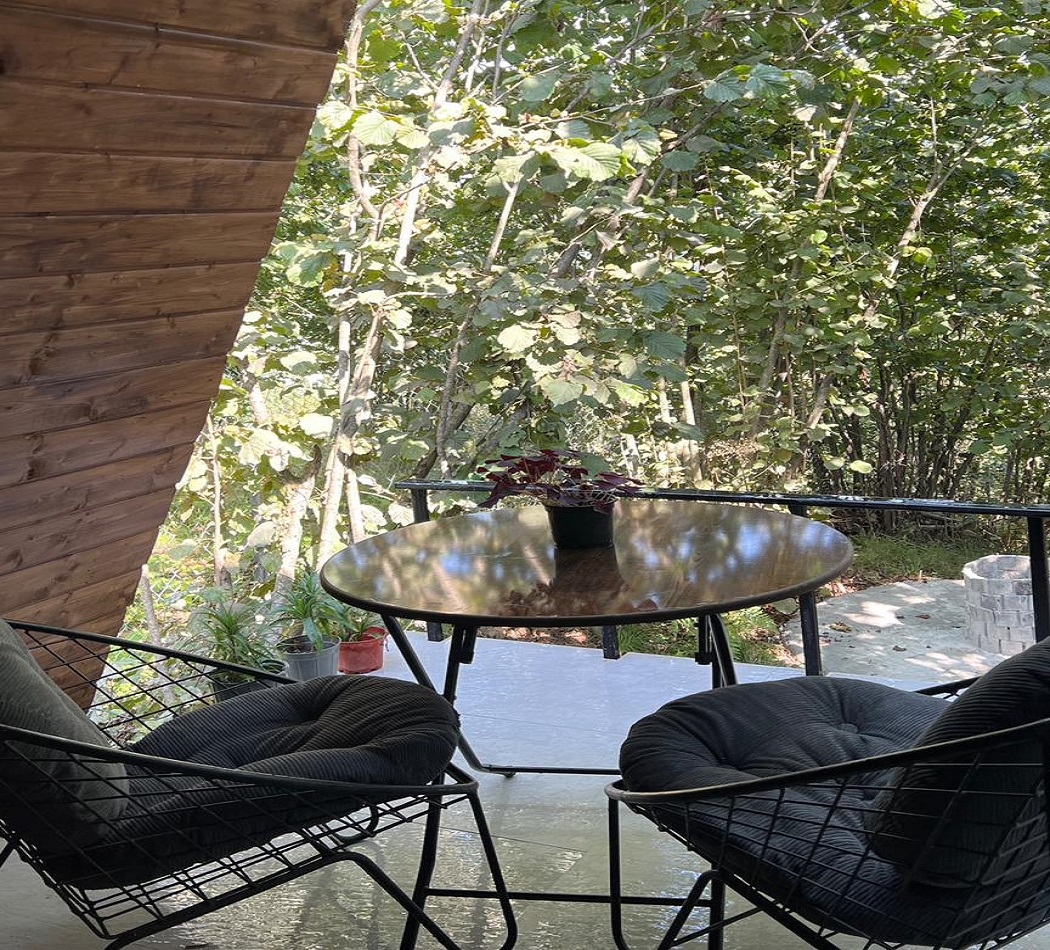 کلبه سوئیسی جنگلی در فیلدم رامسر  نما کلبه