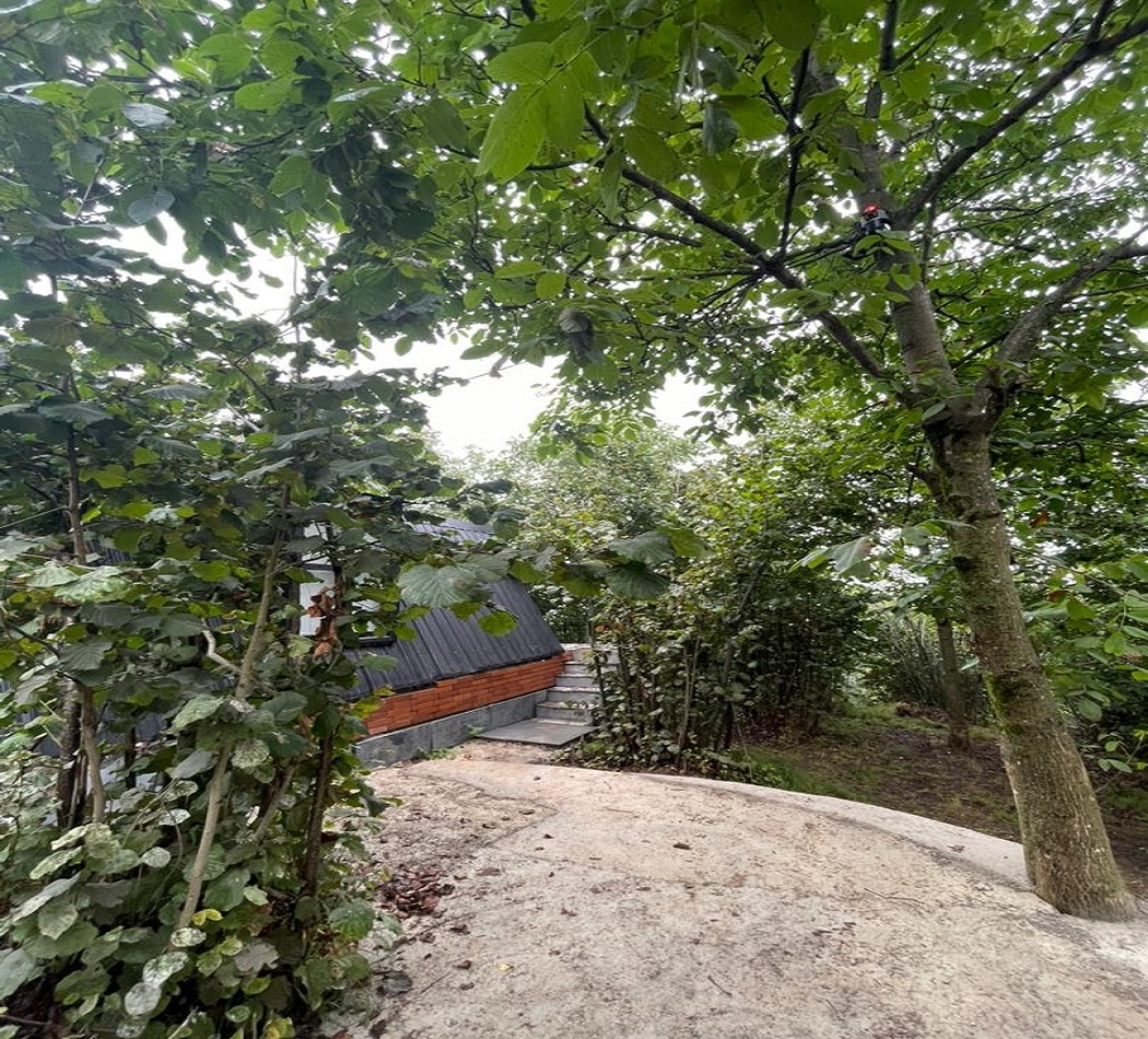 کلبه سوئیسی جنگلی در فیلدم رامسر  نما کلبه