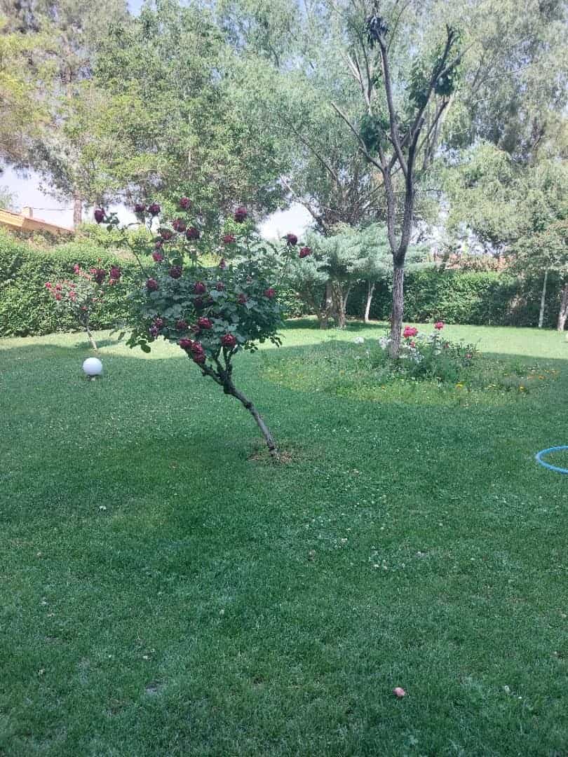 اجاره ویلا تفریحی دو خوابه  در ریحان دهکده چادگان-زیر همکف 120 متری