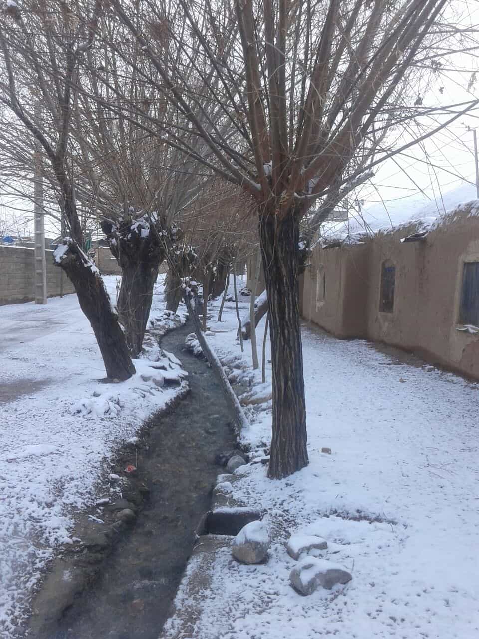 اجاره بومگردی حومه ای کرمان