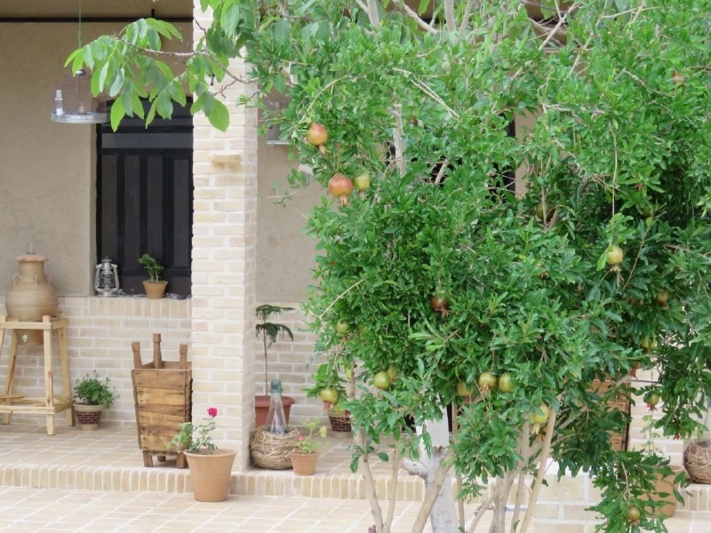 اجاره بوم گردی در ایزدخواست-اتاق 4