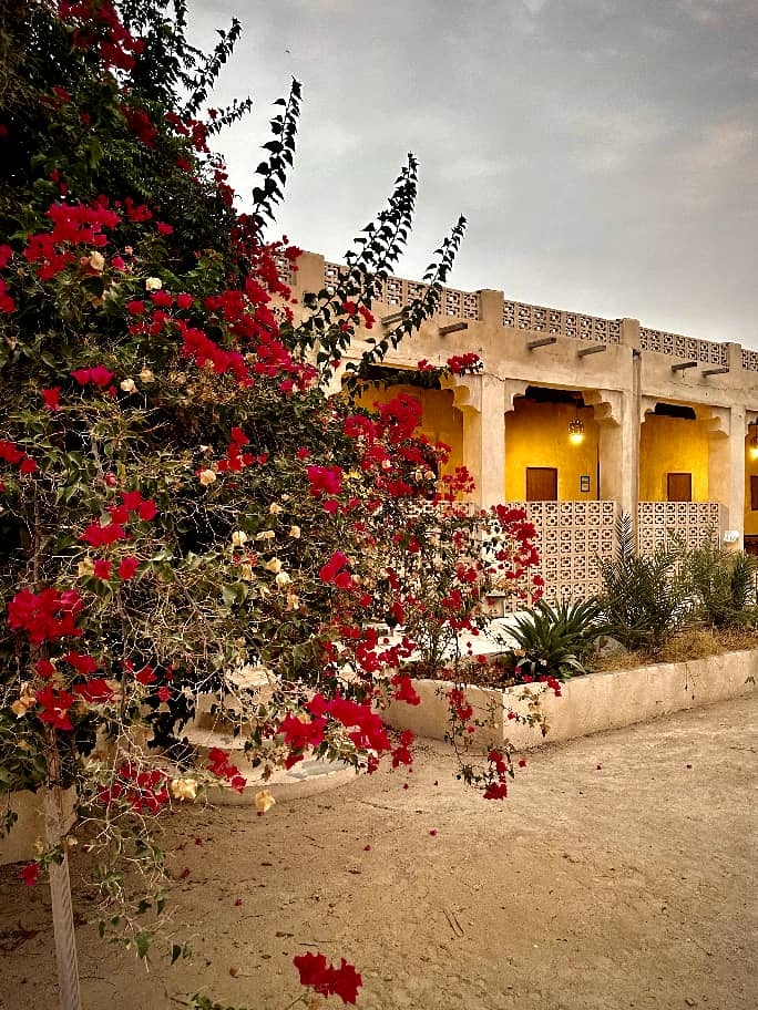 اجاره اتاق سنتی غیر مستر در سوزا قشم - جنگل حرا