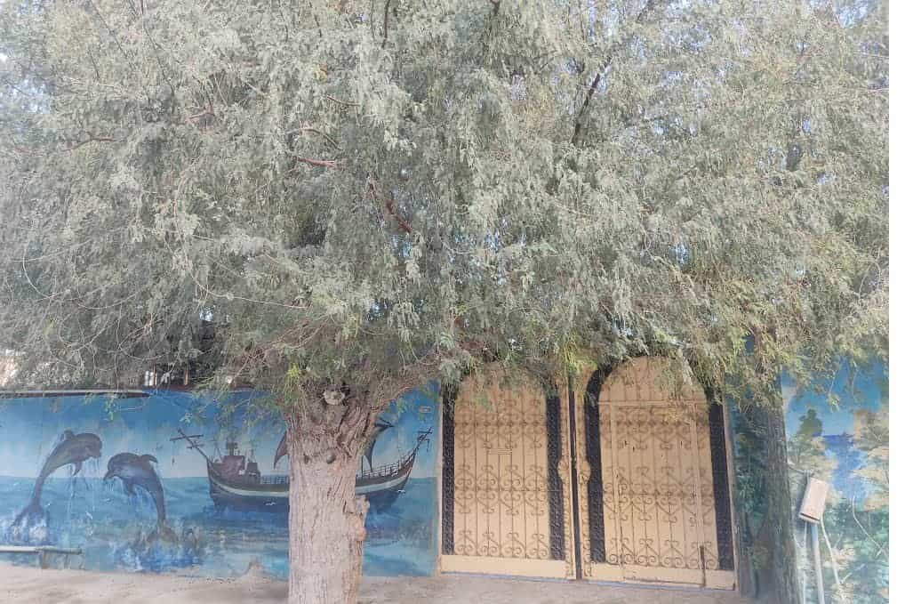 اجاره سوییت سه خوابه بومگردی در شهر طبل