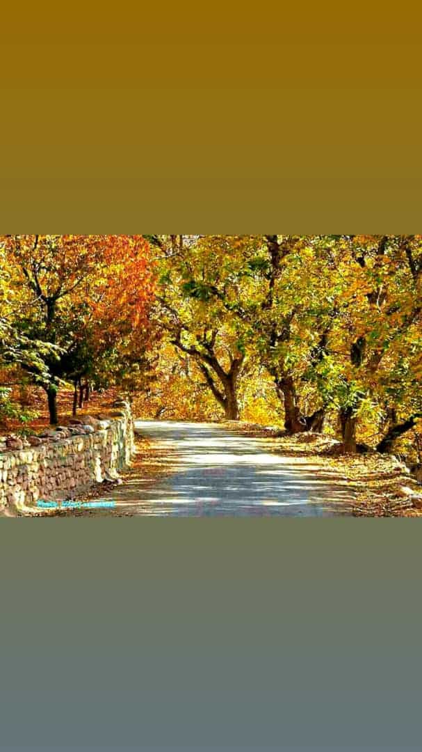 اجاره بومگردی سنتی دهکد ساجی اسفراین - اتاق4