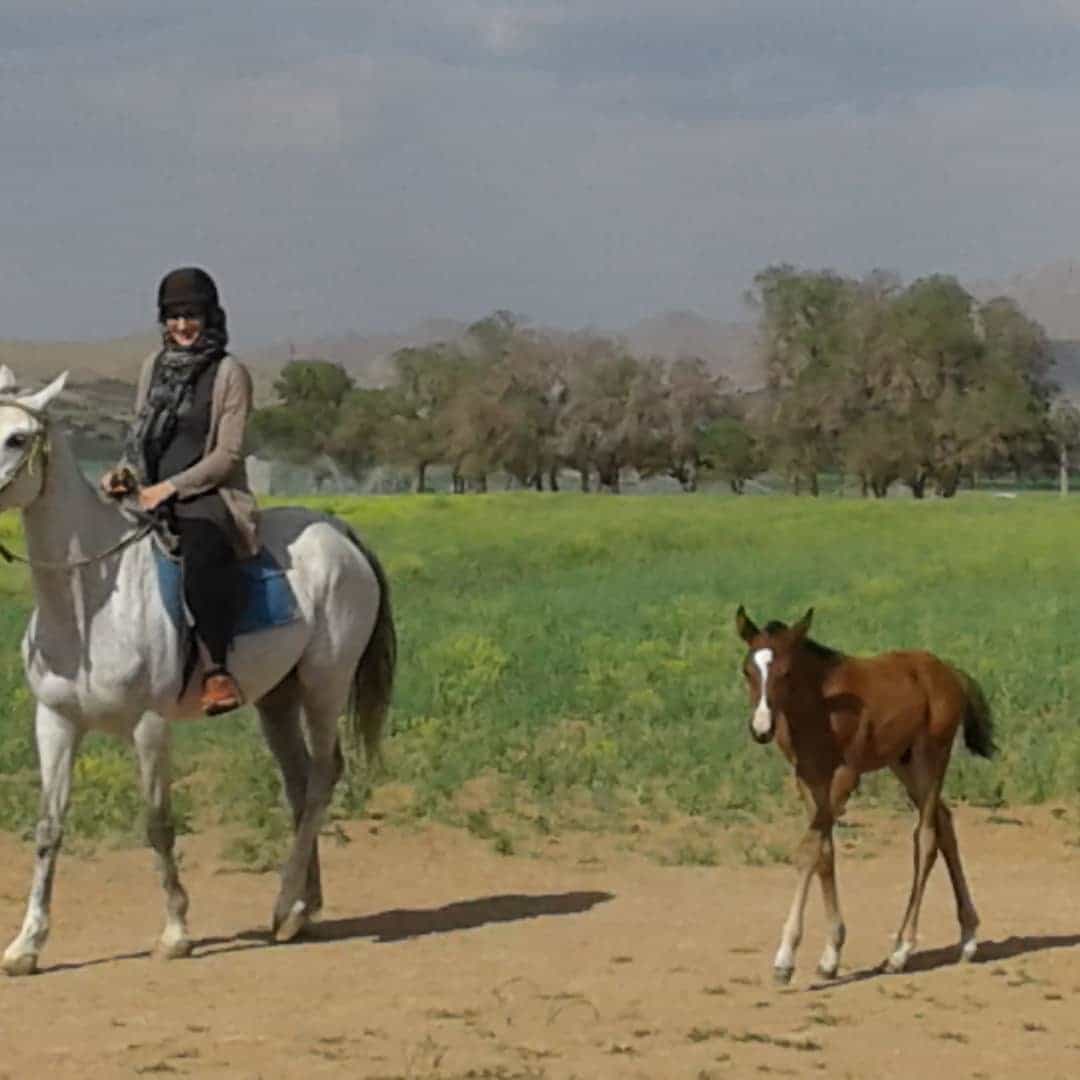 اجاره اقامتگاه بوم گردی و خانه سنتی در چالشتر شهرکرد