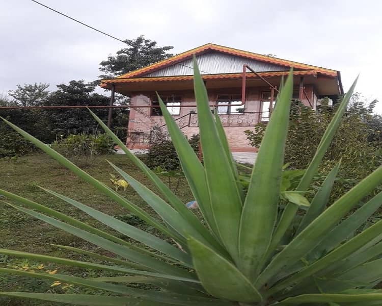 اجاره ویلا جنگلی در فومن