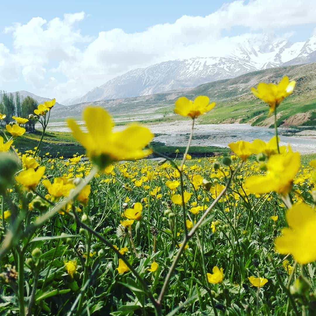 اجاره چادر بومگردی عشایری در حومه چلگرد - کوهرنگ