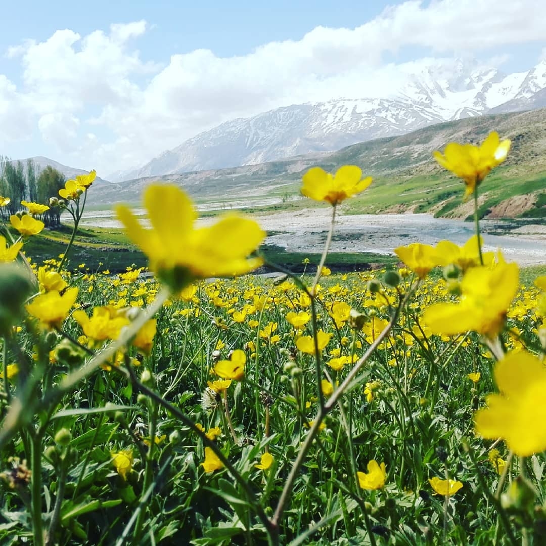 اجاره چادر بومگردی عشایری در حومه چلگرد - کوهرنگ