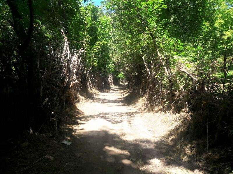 اجاره اتاق سنتی در اشراق سهرورد زنجان