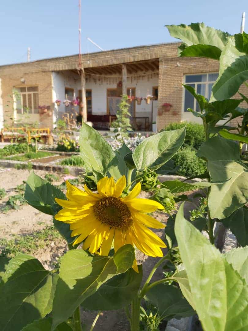 اجاره اتاق سنتی در موغان فریدن - 4