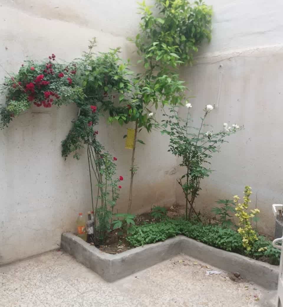 اجاره منزل در خیابان تحویلی شیراز - دوخوابه