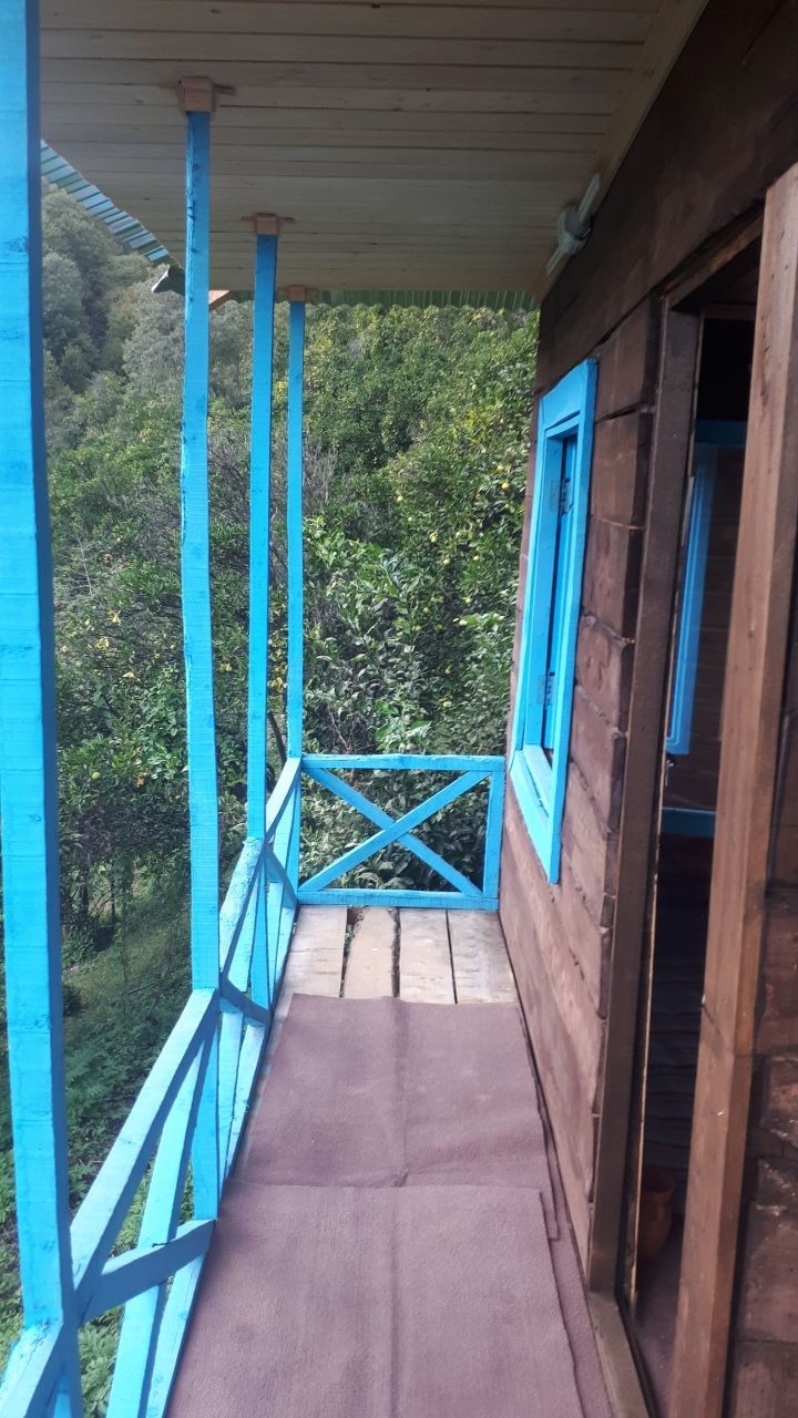 اجاره کلبه رو به جنگل در چالکش تنکابن - اتاق4