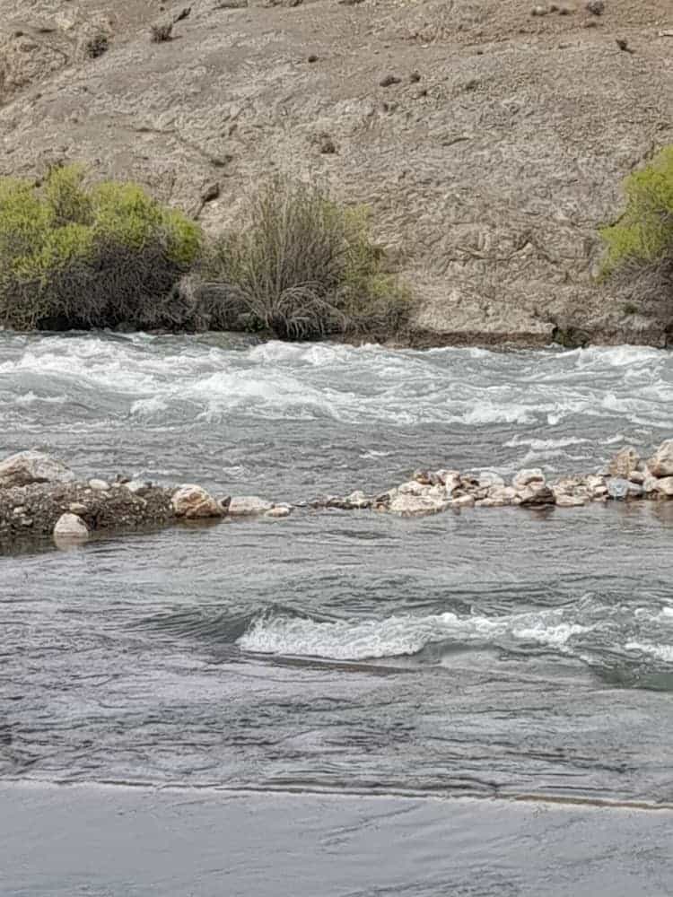 اجاره آپارتمان در روستای چم خلیفه - سامان