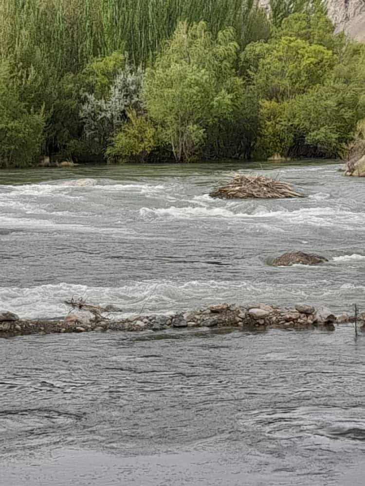 اجاره آپارتمان در روستای چم خلیفه - سامان