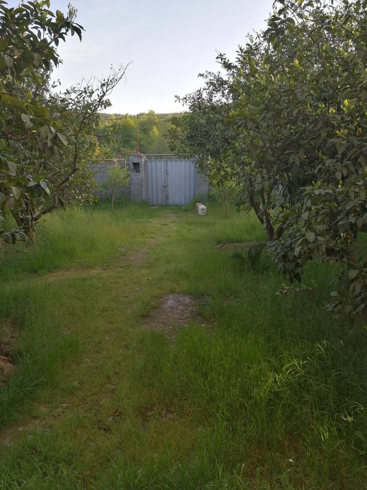 اجاره باغ و ویلا در بیشه سر قائم شهر