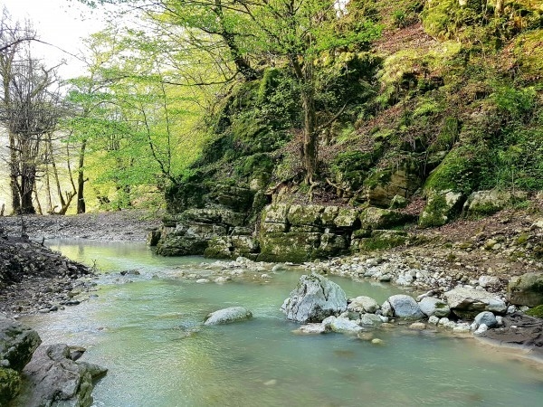 اجاره ویلا جنگلی در زوات غرب چالوس