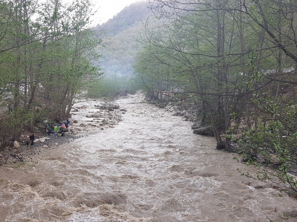 اجاره ویلا جنگلی در زوات غرب چالوس