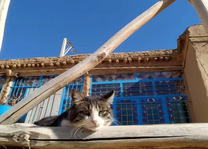 اجاره اتاق سنتی در روستا جنگل ابر شاهرود