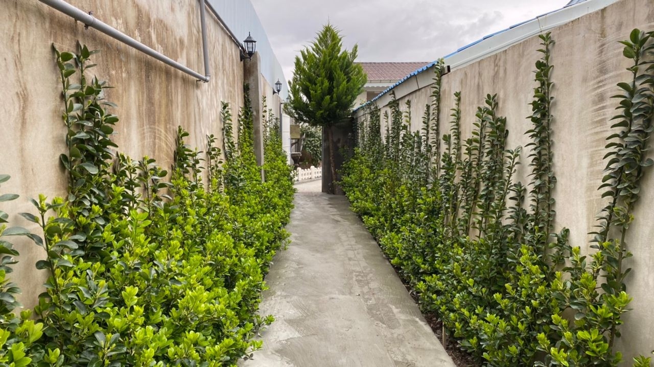 اجاره ویلا دوخوابه با استخر سرپوشیده در منطقه آزاد بندرانزلی- 180 متری