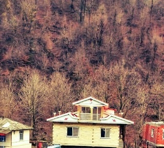 اجاره سوئیت دربستی درتالش