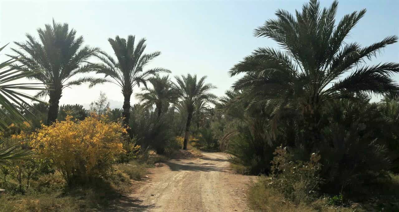 اجاره اتاق سنتی در جندق اصفهان-2نفره