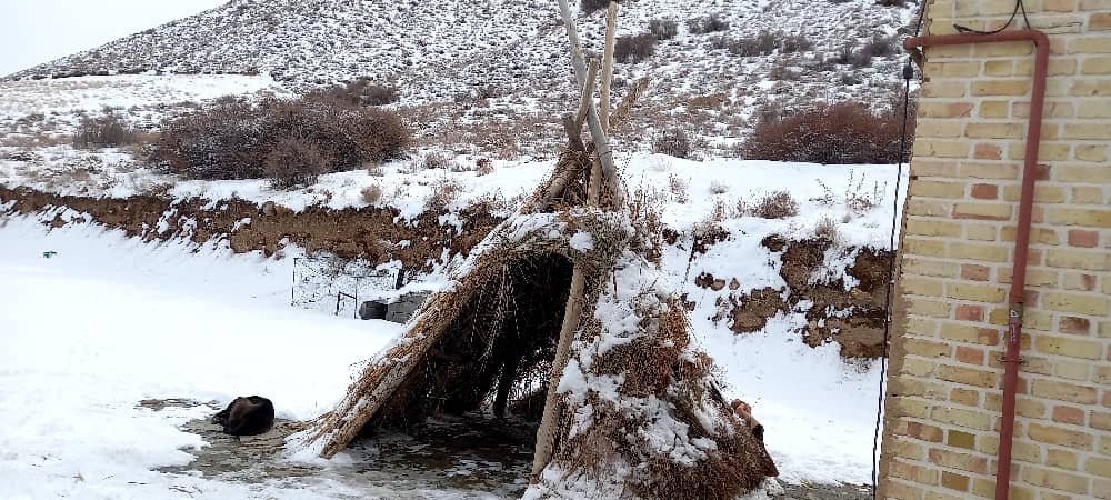 اجاره اقامتگاه بومگردی در چهاربید بجنورد