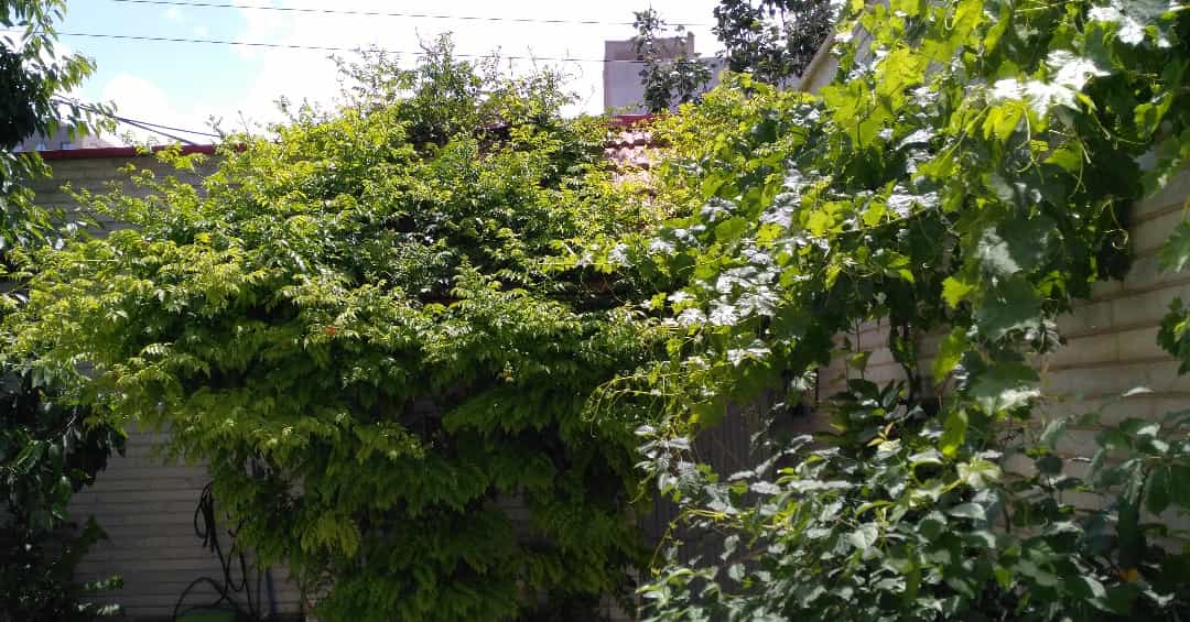 اجاره سوئیت مبله در ایل گلی تبریز - واحد1