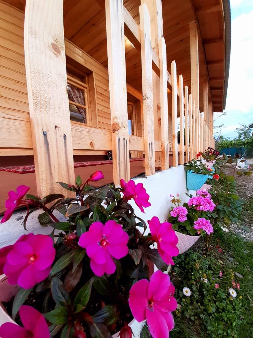 اجاره کلبه چوبی در داوان لیسار - تالش